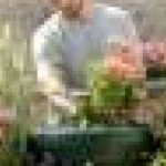 Cum să-ți ajuți grădina să-și revină după un val de căldură