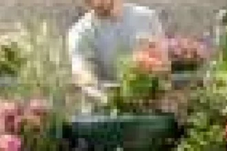 Cum să-ți ajuți grădina să-și revină după un val de căldură
