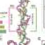 Descoperirea strămoșului pierdut al CRISPR poate extinde editarea genetică