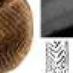 Dinți de mamut, folosiți de artiștii din Epoca de Gheață pentru modele decorative
