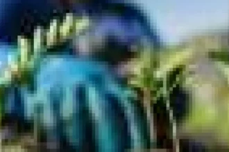Earthshot și punctele de cotitură pozitive: Cum progresul de mediu devine de neoprit