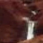 Fără bacterii sau chimicale: formarea abiotică a metanolului și formaldehidei în natură