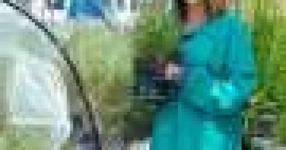 Genomurile de salicornie dezvăluie secretele genetice ale agriculturii pe terenuri sărate