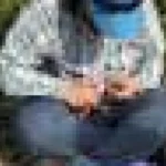 Grauri din Florida se reproduc neobișnuit de tineri după translocare amplă
