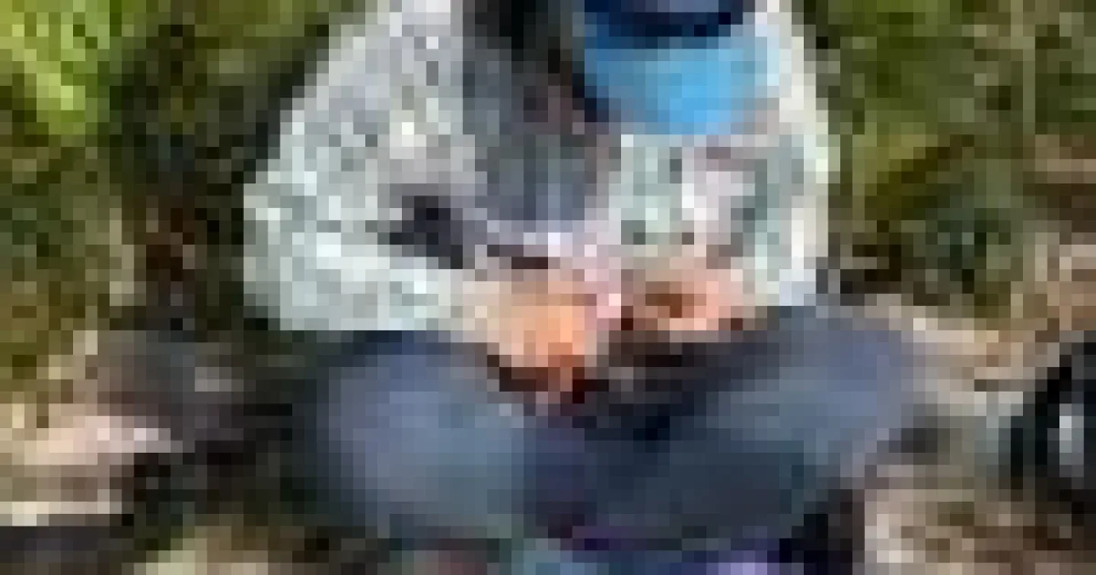 Grauri din Florida se reproduc neobișnuit de tineri după translocare amplă