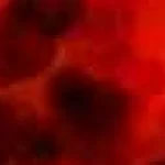 Harta proteică arată adaptarea rapidă a globulelor roșii la oxigen scăzut