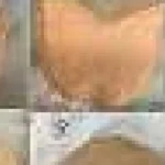 Imprimare 3D a preparatelor vegetariene echilibrate din făină de orez și linte