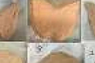 Imprimare 3D a preparatelor vegetariene echilibrate din făină de orez și linte