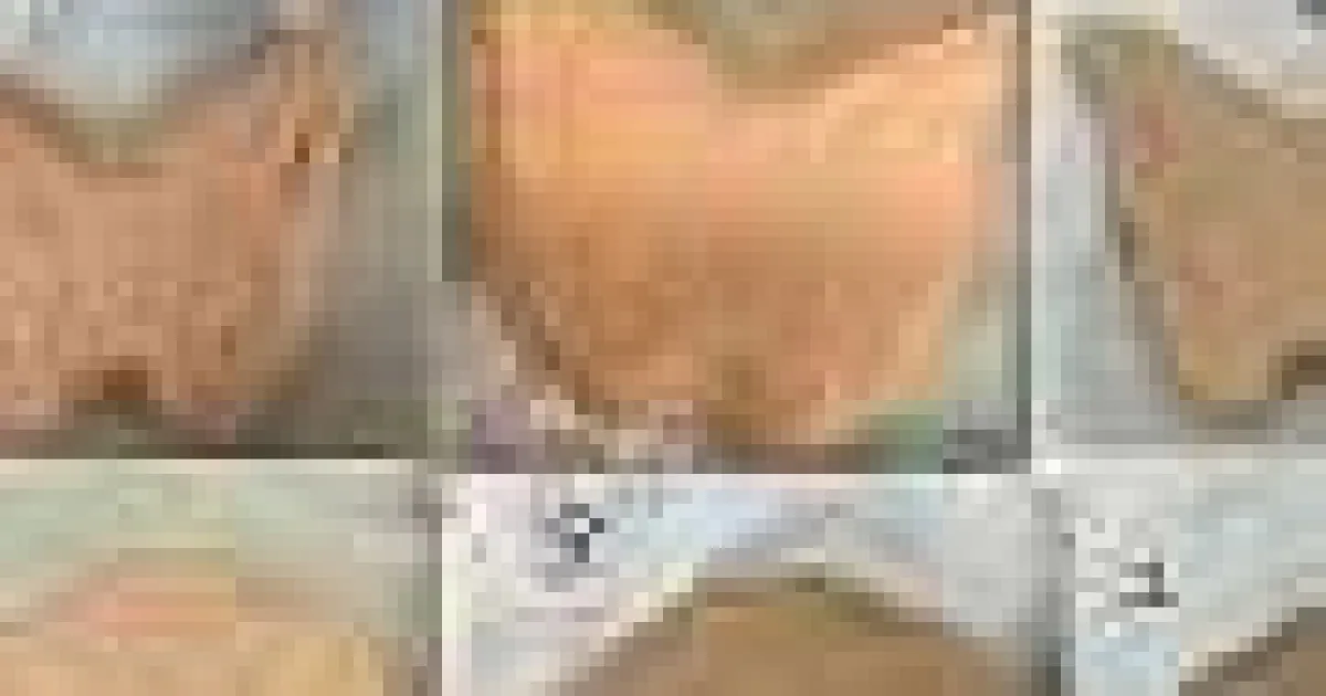 Imprimare 3D a preparatelor vegetariene echilibrate din făină de orez și linte
