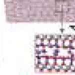 Încălzirea micei la 200°C dezvăluie frecarea independentă de viteza de alunecare