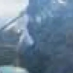 Industria turismului începe să răspundă nevoilor călătorilor singuri