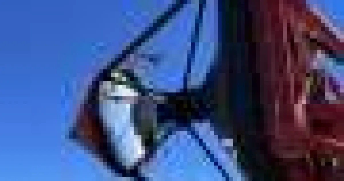 Inelele muonice asigură calibrarea precisă a telescoapelor Cherenkov