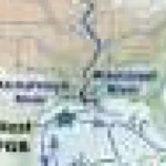 Îngrășămintele și canicula distrug coralii din Golful Mexic, arată analizele
