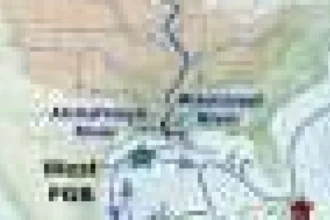 Îngrășămintele și canicula distrug coralii din Golful Mexic, arată analizele