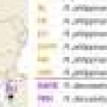 Instrument genomic nou pentru scoici care susține acvacultura durabilă