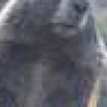 Întrebări și răspunsuri: Originea „OnlyMarms” și ce a făcut-o un succes răsunător