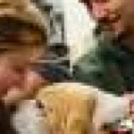 Mai mult decât dragoste pentru căței: Cum câinii de terapie aduc studenții împreună