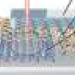 Materiale 2D suprapuse: multiferroicitate și magnetism controlat