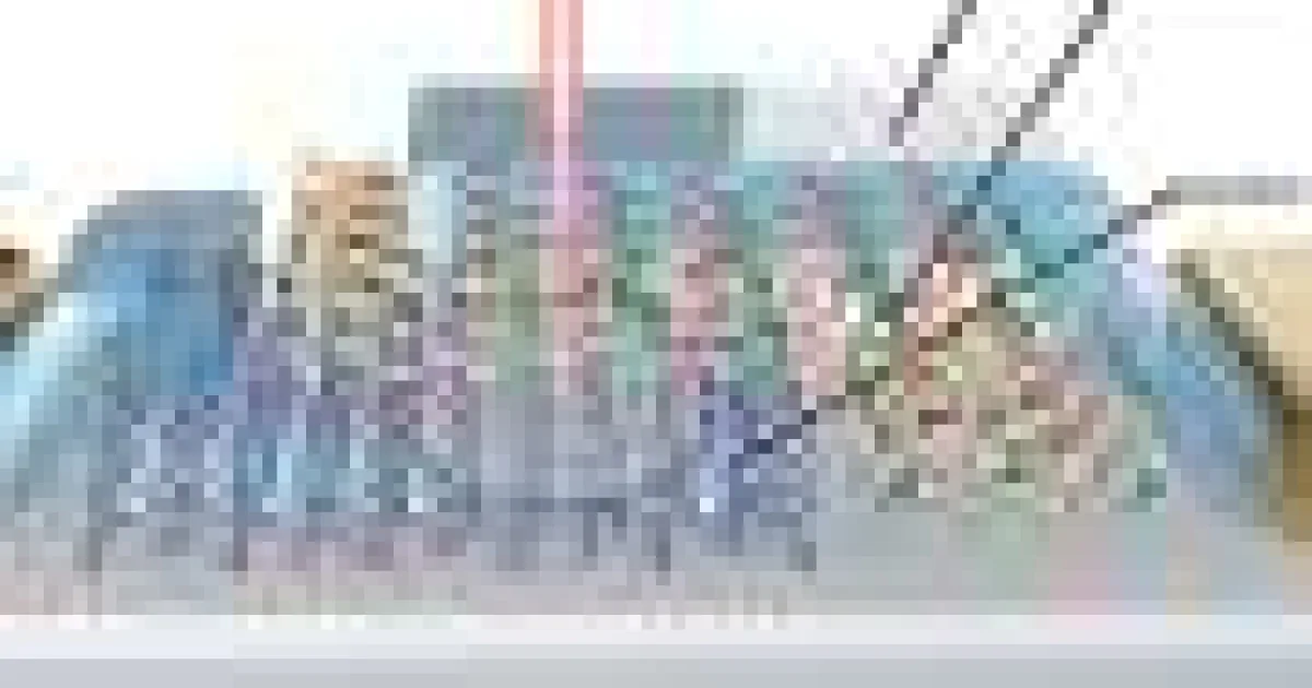 Materiale 2D suprapuse: multiferroicitate și magnetism controlat
