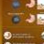Nanoparticule inteligente care livrează antibiotice direct la H. pylori