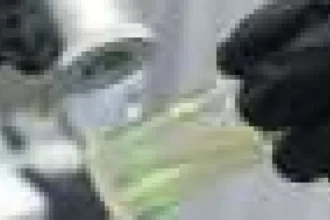 Nanoparticulele luminescente noi pot detecta diferențe chimice subtile