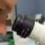 Noua măsură arată cum se schimbă identitatea cercetătorilor între discipline