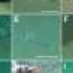 Ocean adânc, deșeuri cunoscute: Plastic găsit alături de posibile specii noi