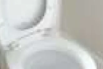 Pastilele pentru toaletă ne pot ajuta să folosim mai puțină apă la fiecare tragere