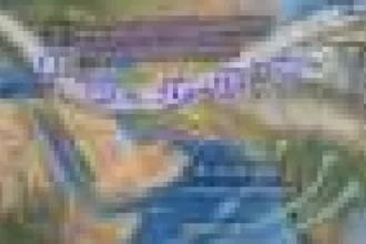 Prognoze sezoniere pot avertiza nordul Indiei cu luni înainte de poluarea de iarnă