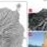 Rămășițe de insecte dezvăluie practici funerare indigene în Insulele Canare