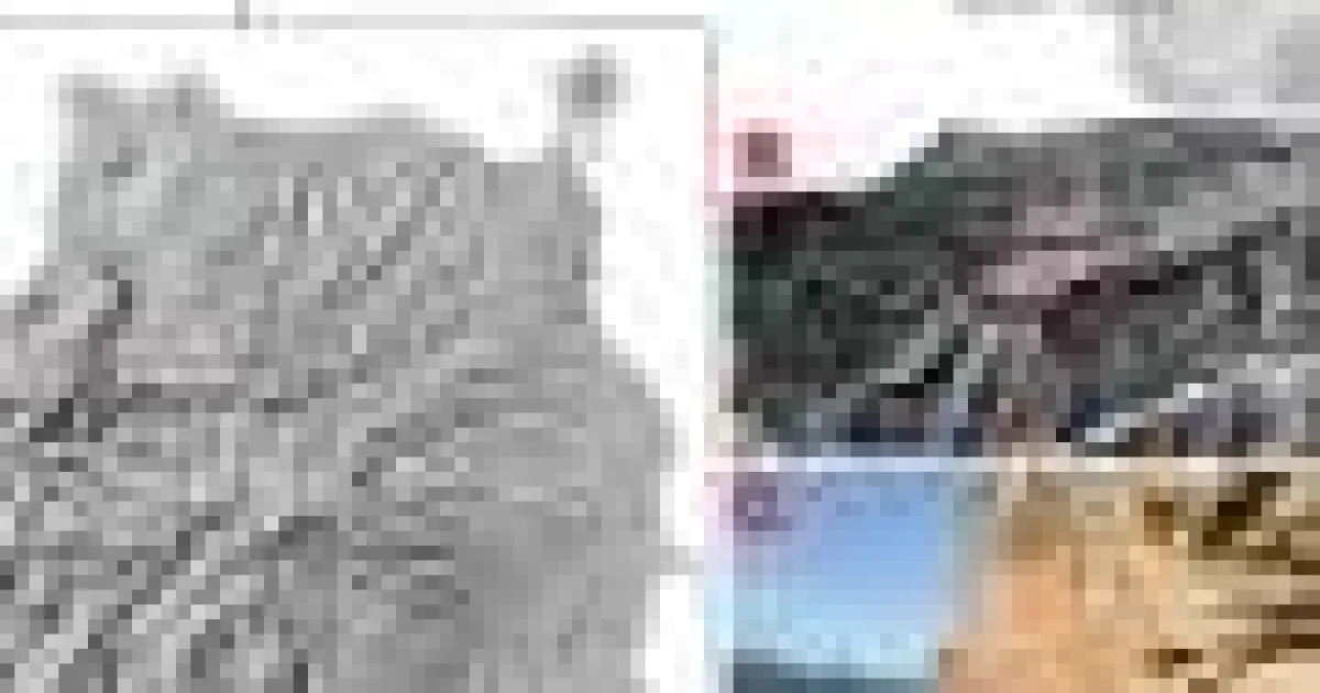 Rămășițe de insecte dezvăluie practici funerare indigene în Insulele Canare