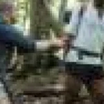 Responsabilitățile din relațiile sociale apropiate explică diferențele culturale Est–Vest