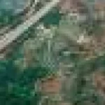 Scorurile ESG reflectă imaginea publică, nu pierderea reală a pădurilor