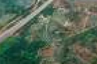 Scorurile ESG reflectă imaginea publică, nu pierderea reală a pădurilor