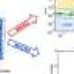 Simulări leagă difuzia neobișnuită de cedare în materia moale