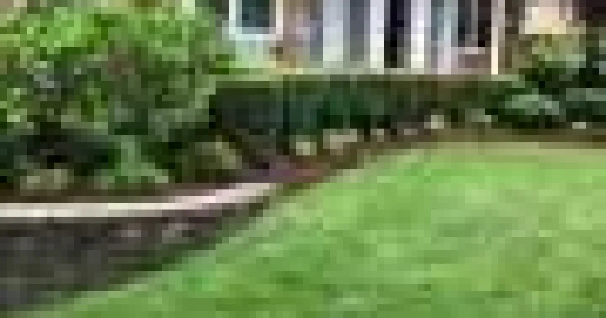 Știința din spatele gazonului mai verde și mai sănătos
