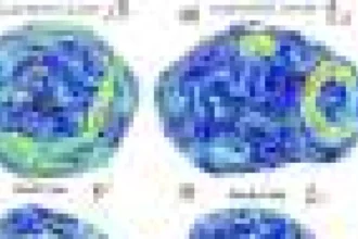 Un nou atlas al suprafeței lui Phobos va ajuta misiunea MMX să colecteze mostre