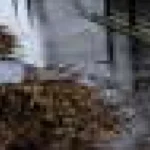Valuri de rulare pe pante abrupte: curgerea uniformă a apei devine instabilă